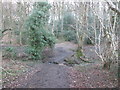 Ford on the bridleway in Kitchen Wood