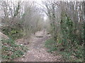 Former railway northeast of Sheepwalk Lane, Upton