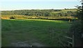 In the Yeo valley near Abbot