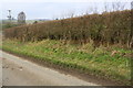 SP2812 : Minor road into Swinbrook from the east by Roger Templeman