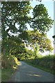 Road near Lanhydrock Hotel