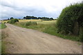 Access track to Eastfield Game Farm from West Moor Lane