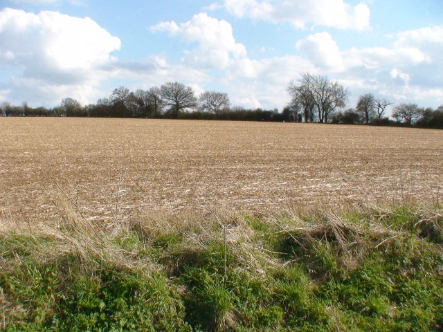 Fields east of Berrydown Copse