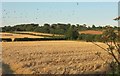 SX0763 : Harvested fields, Treffry by Derek Harper