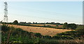 Bales by the B3268