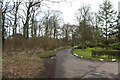 Road to the Car Park, Fullarton Estate