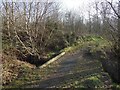 Footbridge over a burn