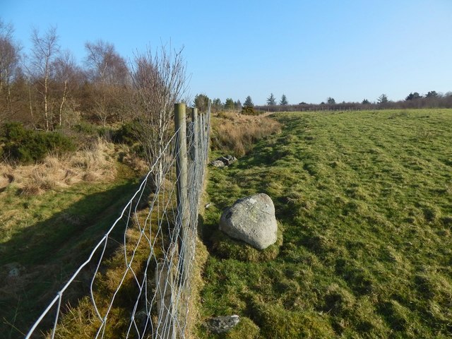 Rock beside a fence