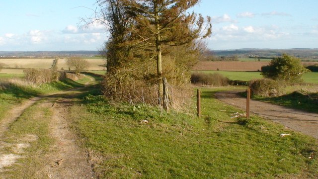 Bridleway junction on the Oxdrove Way