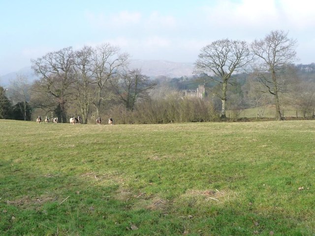 Sheep grazing, south of Augill Castle