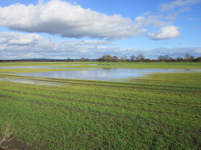 Waterlogged field near Dial House Farm
