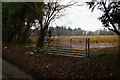 Gate into a field off the Middleway, Middleton