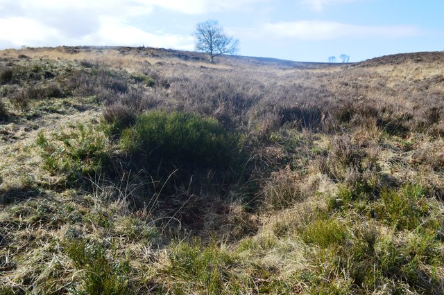 WW1 practice shell hole in Sher Brook... © John M cc-by-sa/2.0 ...