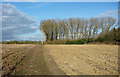 Bridleway near Peggs Farm