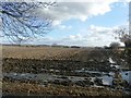 Ploughed Field Between Shafton and Brierley