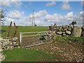 Gate, stile and wall