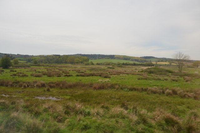 Exminster Marshes