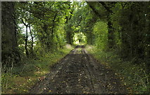 ST8280 : Old Lane, Littleton Drew, Wiltshire 2011 by Ray Bird