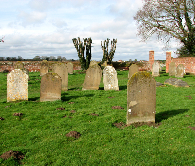 Gravestones in Marsham churchyard
