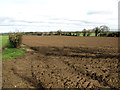 TG2123 : Crop fields beside Mill Road by Evelyn Simak