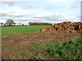 Muck heap in a field by Hall Farm