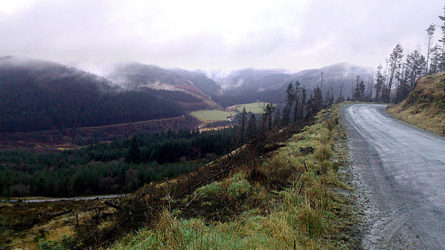 Forest track on Pen Lan-fawr