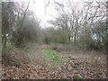 Footpath east of Sykehouse Lock