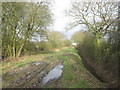 Footpath towards Peartree Corner