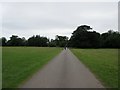 Dog walkers in Knepp Park