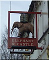 Sign for the Elephant & Castle public house, Thurlaston