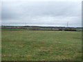 Grazing north of Thurlaston Lane