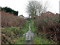 Llwybr Pentre Dwr/ Pentre Dwr Path