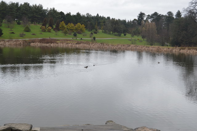 Pond, Bedgebury Pinetum