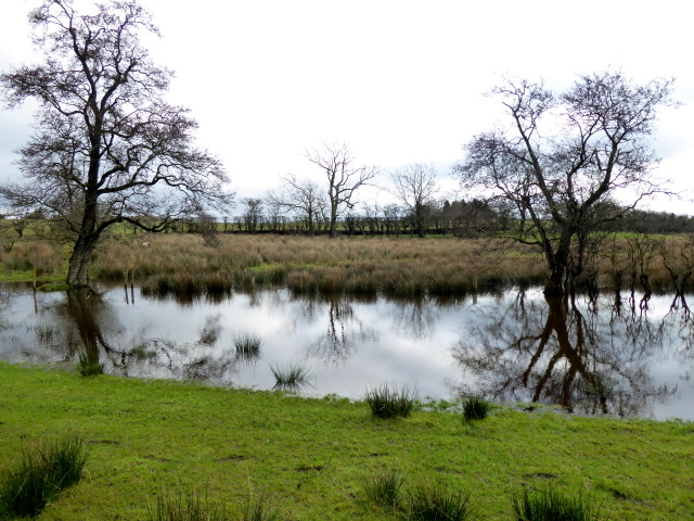 swampy-ground-creevenagh-kenneth-allen-geograph-ireland