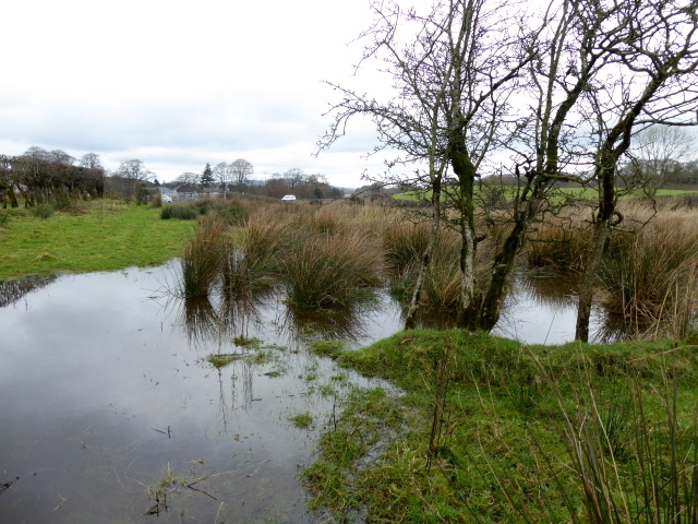 swampy-ground-creevenagh-kenneth-allen-cc-by-sa-2-0-geograph-ireland