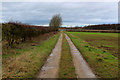 Occupation Lane on Becca Moor