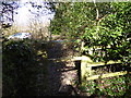 Footpath towards the A272