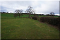 Path leading to Banks Hall Farm