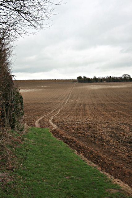 Towards Twitham Hill