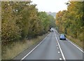 Autumnal colours, A303