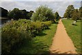 TQ1567 : The Thames Path beside Hampton Court Park by Philip Halling