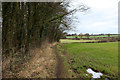 Footpath beside Old Plantation