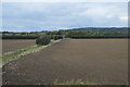 Farmland and ditch