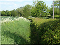 Ditch behind hedge near Frenches Green