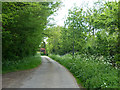 Lane east of Molehill Green