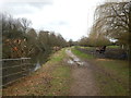 Path along the River Colne