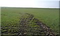 Sheep pasture, east of Lane End