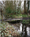 Footbridge and stream on the Aylestone Playing Fields