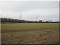 View towards Brickyard Cottages