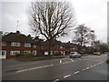 Beech Road, Bernards Heath